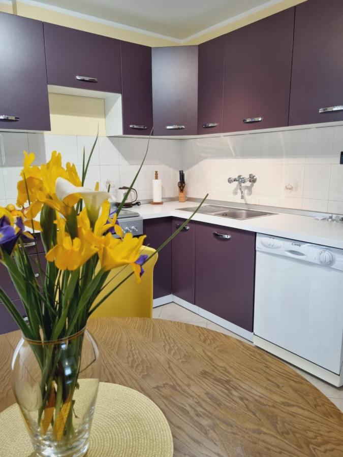 Apartment Sanja Pazin Eksteriør billede